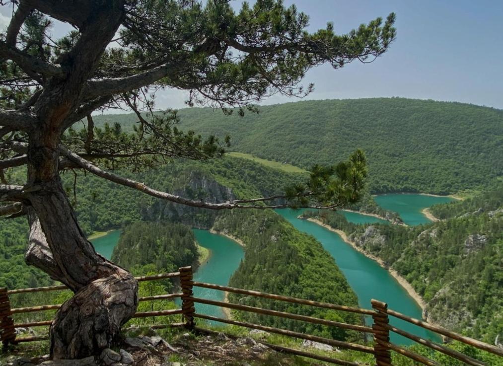 Mountain Soul Rest Villa Žabljak Buitenkant foto